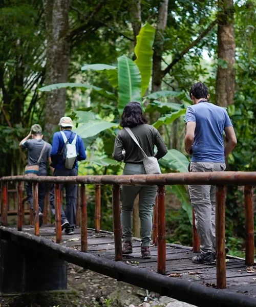 51f90f_0f7d4171eb834293b19a34520184a95d~mv2